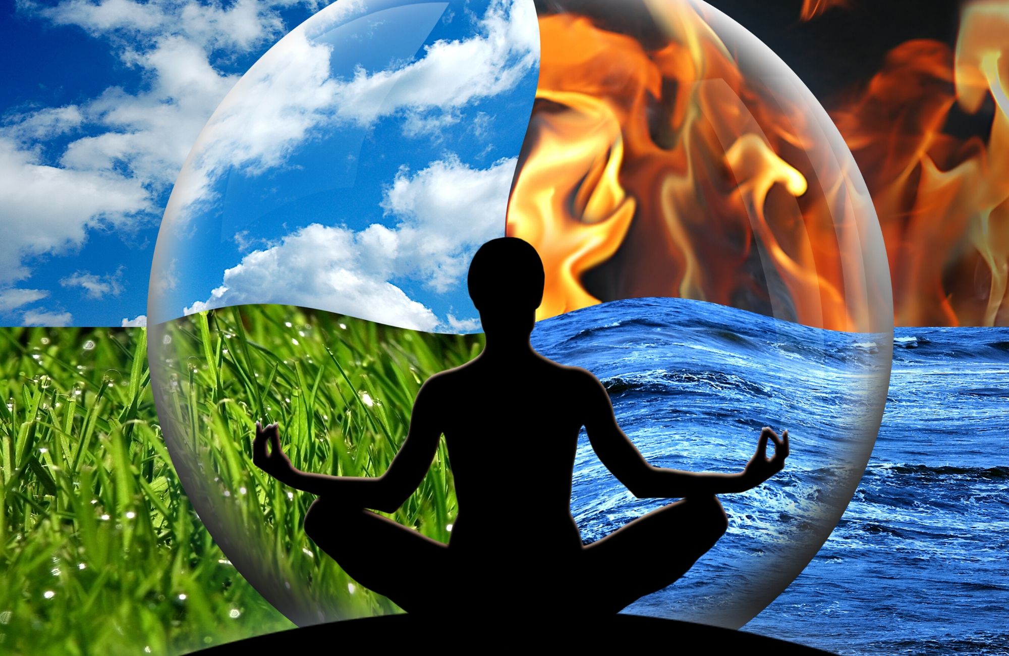 5 Elements and Organ Programme – Qi Transformation Academy